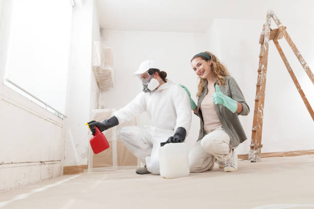 Trusted Cuba City, WI Mold Removal Experts